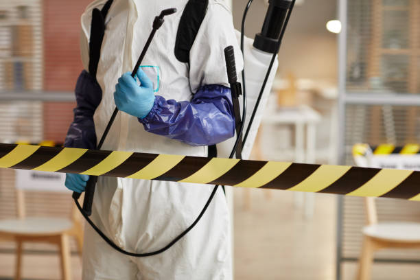 Professional Sewage Cleanup technician working in Danbury, NH